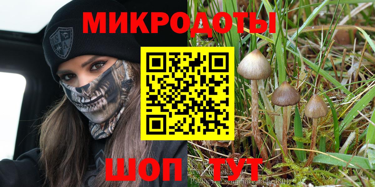 Псилоцибиновые грибы мухоморы  Галлюциногенные грибы мицелий  Нововоронеж  Вход с VPN 